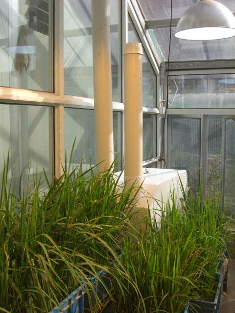 (f)W(xu)vӝST-18ZG҈D