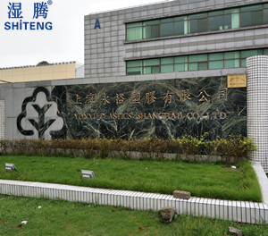 Ϻԣz޹˾ӆُvIӝST-06Z