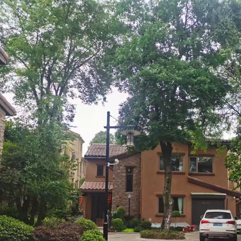 ´B(ti)  ׃lƽѺغ{(dio) 2_(ti)